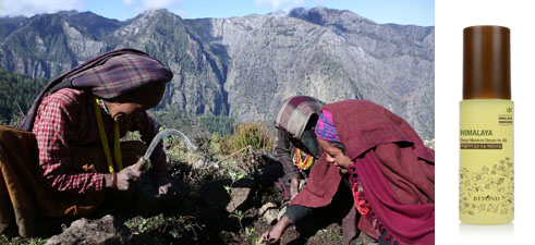 사진 (게시판 업로드).jpg